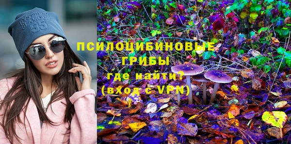 мдпв Кулебаки