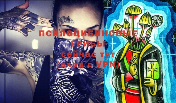 первитин Кукмор