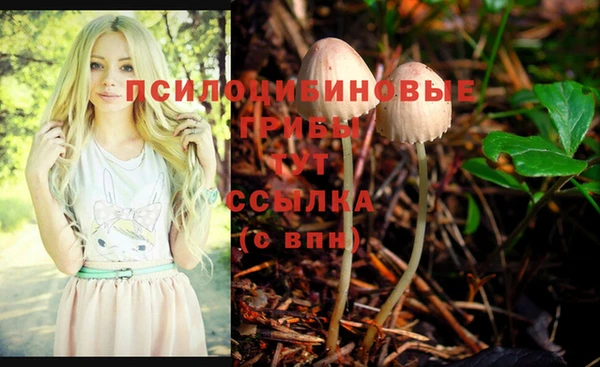 первитин Кукмор
