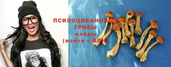 мдпв Кулебаки