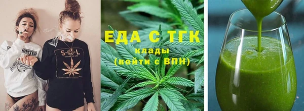 мдпв Ельня