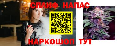 PSILOCYBIN Гусиноозёрск