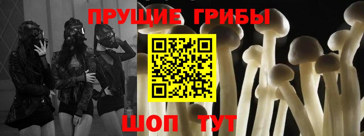 закладки  Псилоцибиновые грибы Magic Shrooms  Вход с VPN  Елизово 