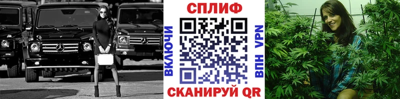 дарк нет официальный сайт  Елизово  Каннабис Ganja  закладка 