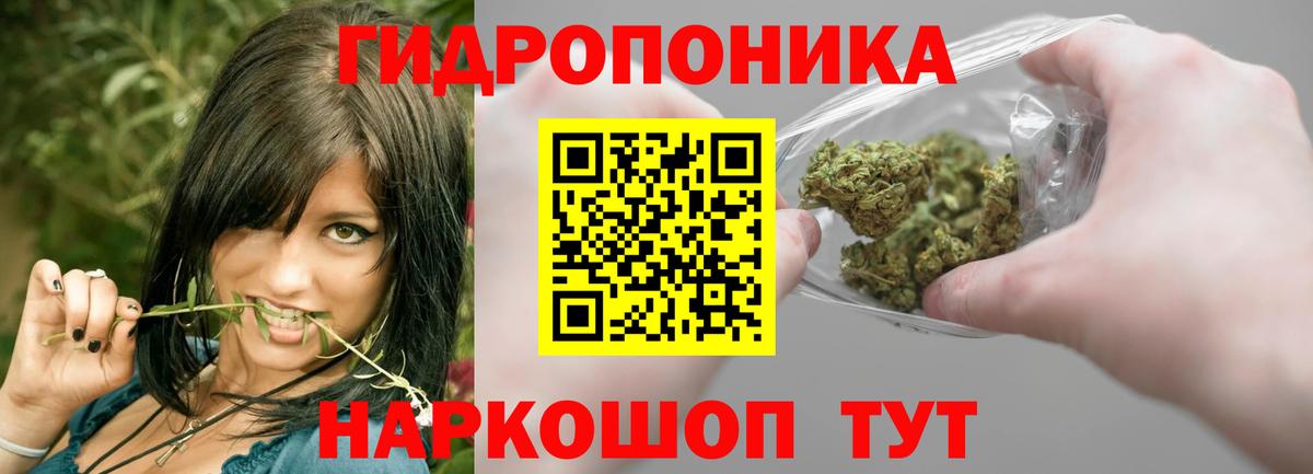 Канабис Ganja  МАРИХУАНА OG Kush  Каннабис Bruce Banner  Елизово 